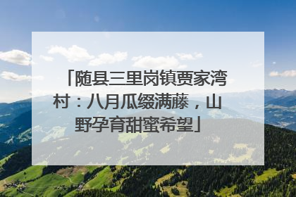 随县三里岗镇贾家湾村：八月瓜缀满藤，山野孕育甜蜜希望